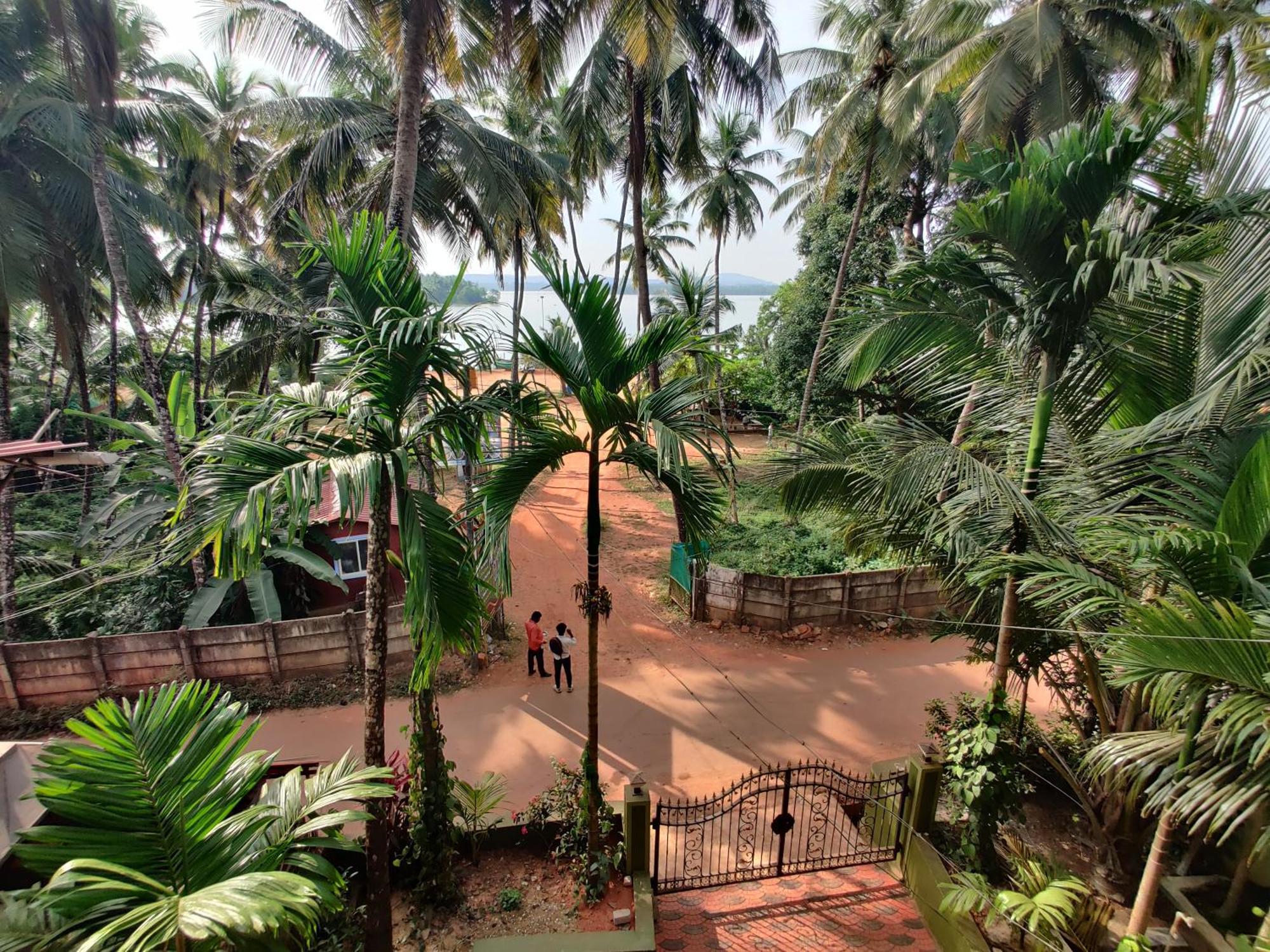 Homestay Trinity -